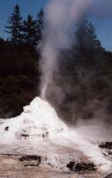 Taupo Springs famous geyser