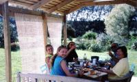 Breakfast time at Katikati
